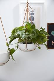 Redondo hanging pot