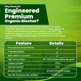 Premium Engineered Biochar (Chip)