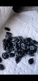 Patola (rigged luffa) seeds